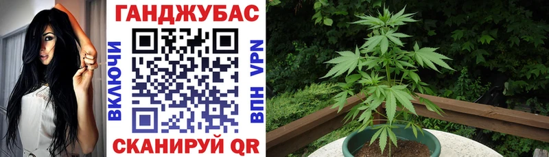Что такое Камызяк Alpha PVP  Псилоцибиновые грибы  Каннабис  ОМГ ОМГ tor  ГАШ 