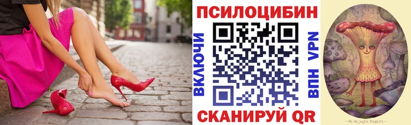 ОМГ ОМГ маркетплейс  Камызяк  Галлюциногенные грибы мицелий 